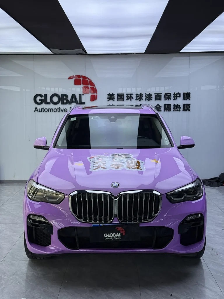 郑州宝马 X5宠物主题商业彩绘施工实拍图 1