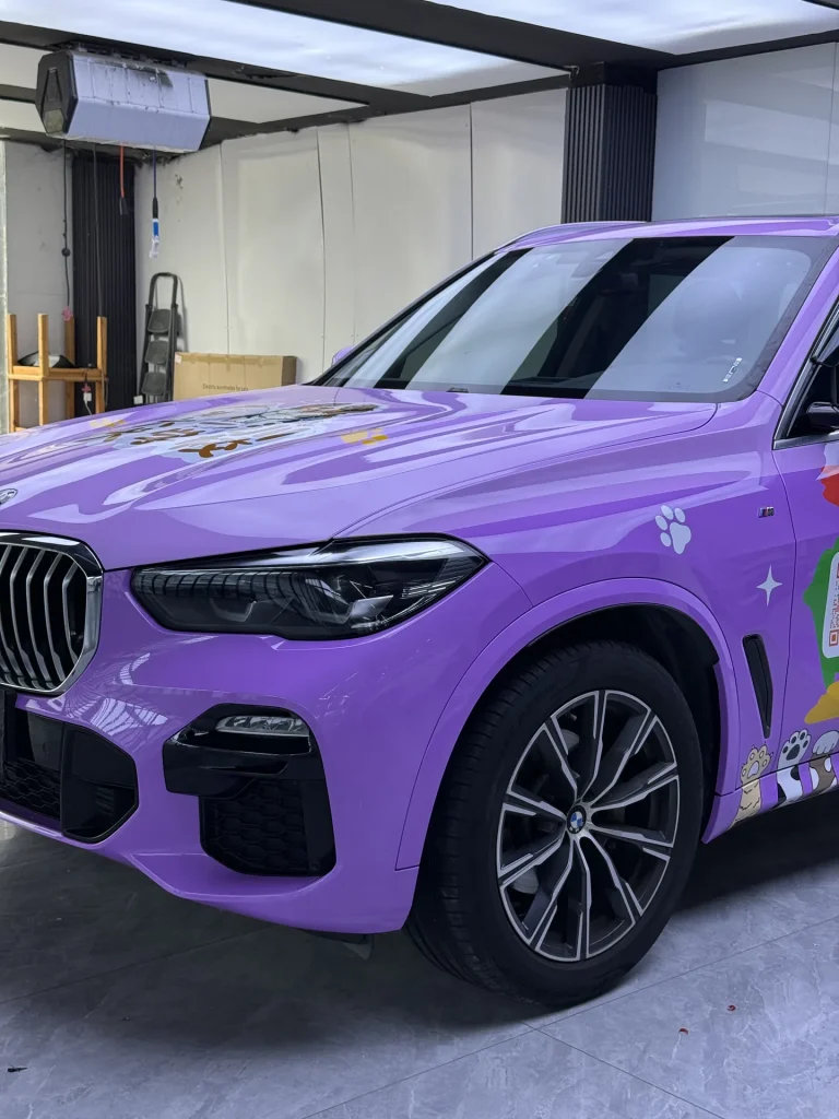 郑州宝马 X5宠物主题商业彩绘施工实拍图 4