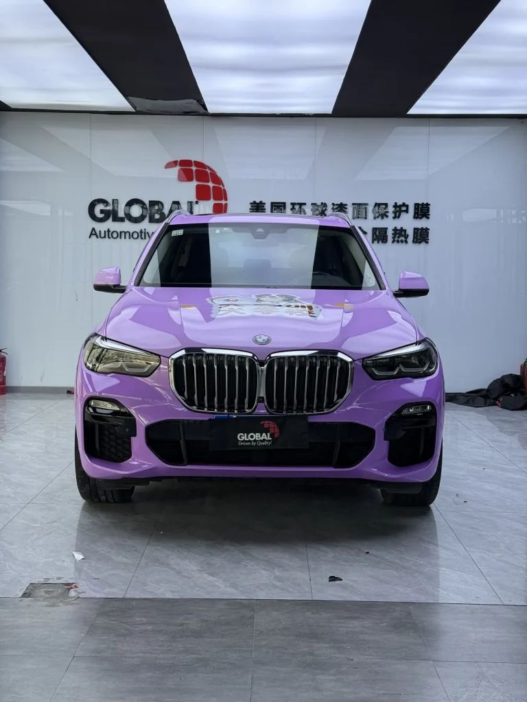 郑州宝马 X5宠物主题商业彩绘施工实拍图 6